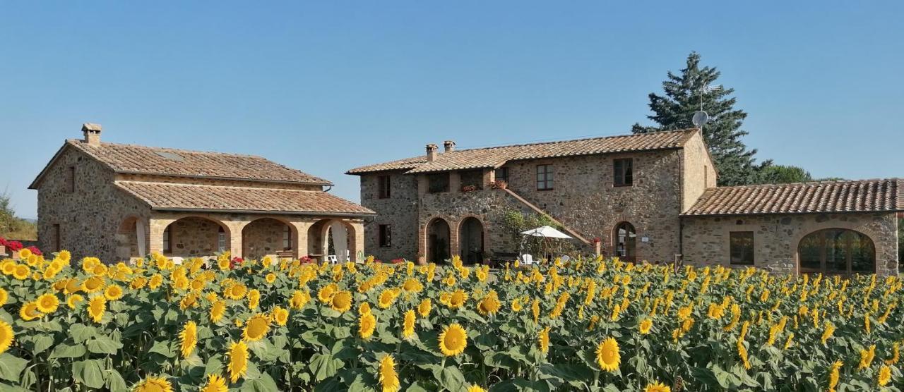 Casetta Della Pina Monticiano Kültér fotó